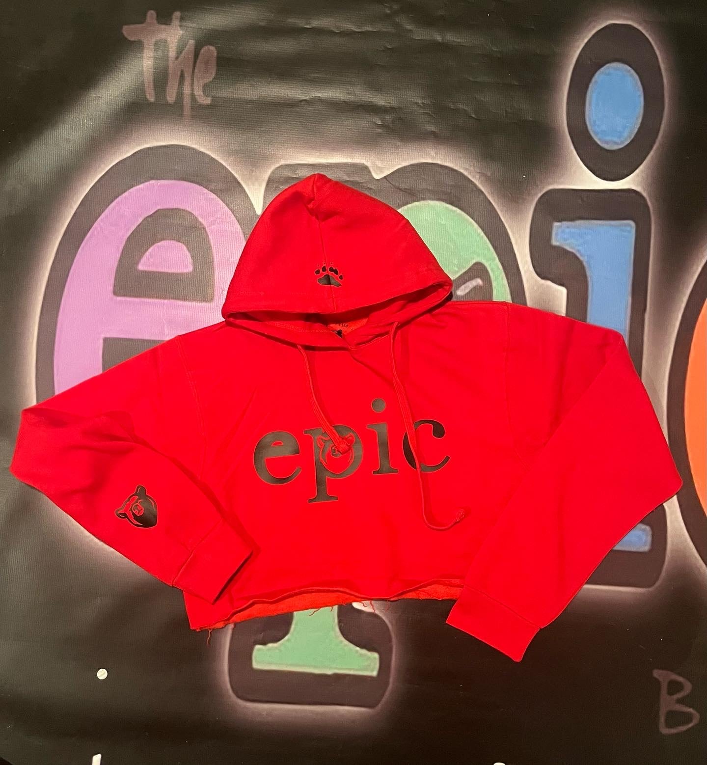 Crop Top Epic Hoodie